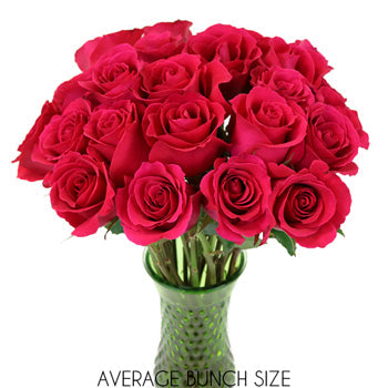 Pink Cherry Sweetheart Roses