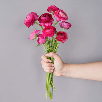 Save the Ranunculus Wild Flowers