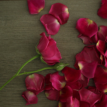 Hot Majolika hot pink Rose Bunch