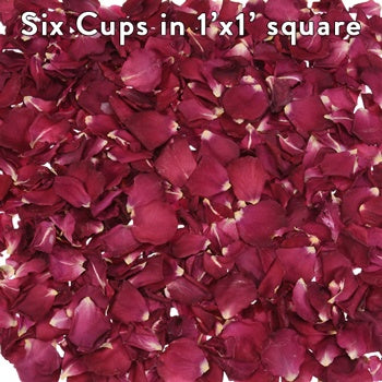 Red dried Roses Petals