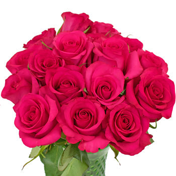 Hot Paris Fresh Cut Rose