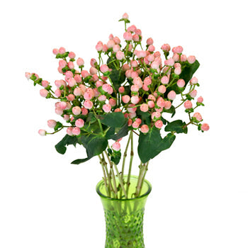 Gum Ball Pink Designer Hypericum Berries