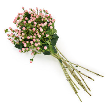 Gum Ball Pink Designer Hypericum Berries