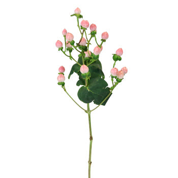 Gum Ball Pink Designer Hypericum Berries