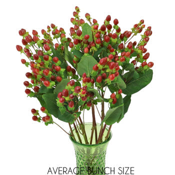 Excellent Flair Marsala Hypericum Berries