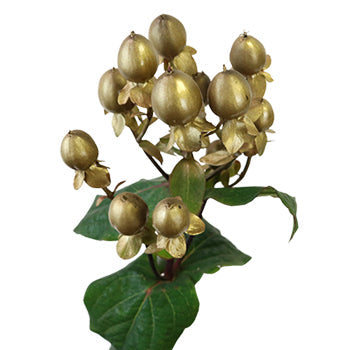 Enhanced Gold Designer Hypericum Berries