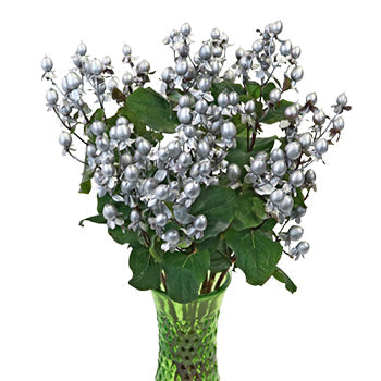 Enhanced Silver Designer Hypericum Berries