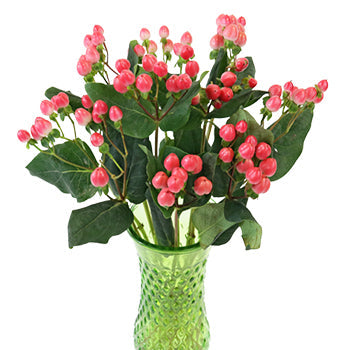 Rose Designer Hypericum Berries