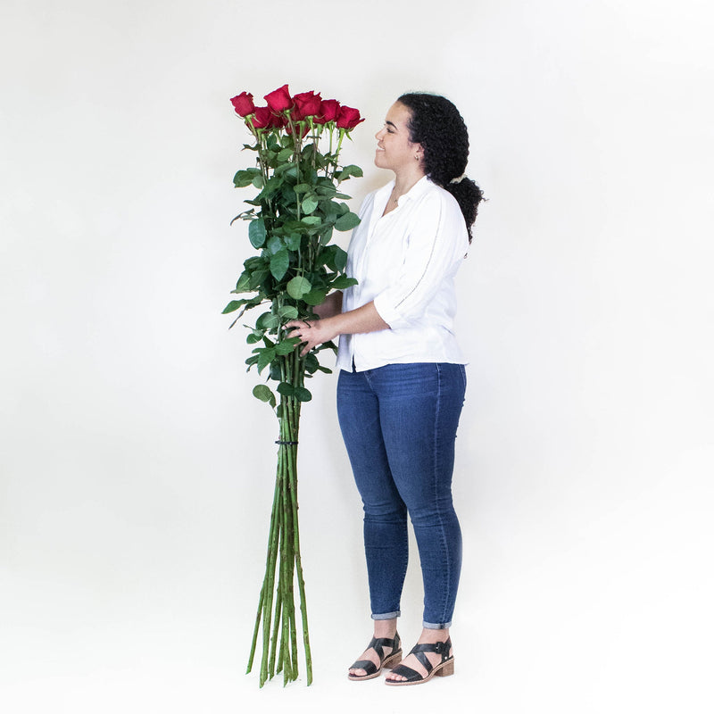 Tall Freedom Red Rose Bunch