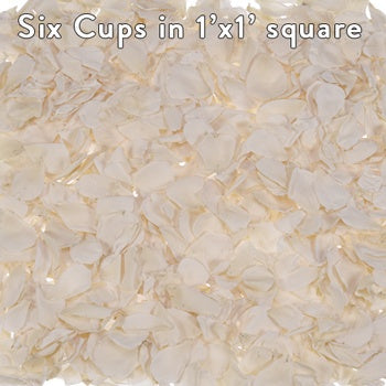 White Preserved rose Petals for Weddings