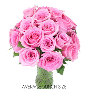 Pink Sweetheart Roses