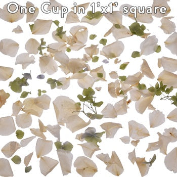 Green and Cream Irish Dried Petal Blend