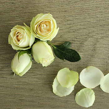Irishka Cream Rose Bunch