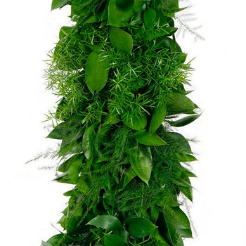Ruscus, Plumosa, and Sprengeri Greens Garland