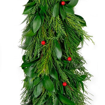 Israeli Ruscus, White Pine, Leyland Cedar, Red Faux Berries Garland