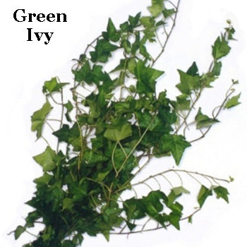 Fern and Ivy Greens Garland