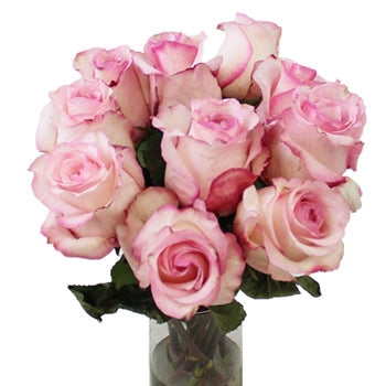 Big Day Delicious Rose