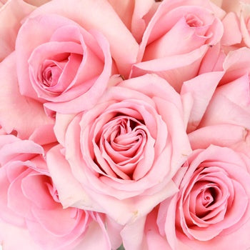 Mother\'s Day Charming Pink Bulk Sweetheart Roses