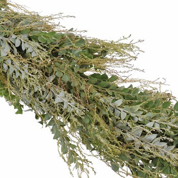 Green and Gray Knifeblade Acacia Garland