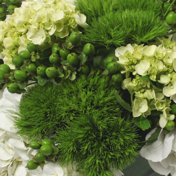 White Hydrangea Fresh Flower Bouquet in a hand