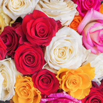 Dozen Leap Year Roses
