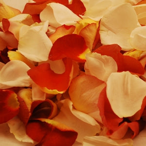 Terracotta Real Rose Petals