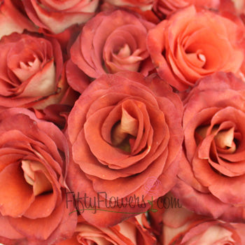 Leonidas Novelty Rose