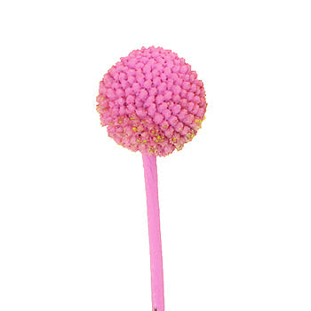 Bubble Gum Pink Bulk Billy Balls