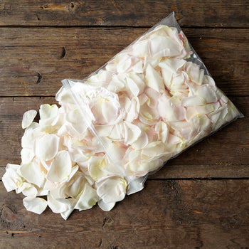 Buy Garden Rose Petals Light Pink