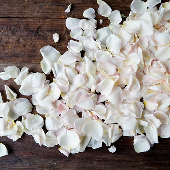 Bulk Pink Garden Rose Petals