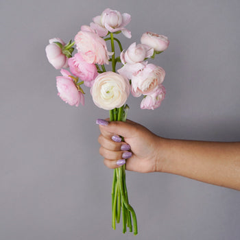 Save the Ranunculus Wild Flowers