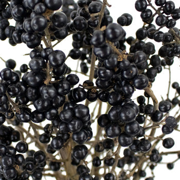 Wedding greenery black pearl ligustrum berries filler flowers sold near me