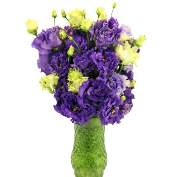 Double Alissa Blue Purple Lisianthus Wholesale Flower In a vase