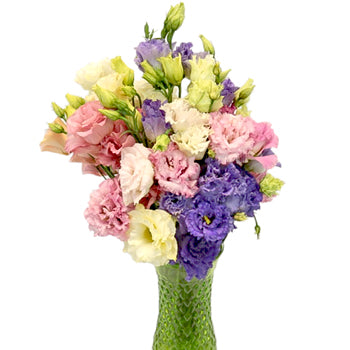 Farm Choice Frill Lisianthus Wholesale Flower In a vase