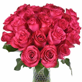 Lola Shade Bulk Rose