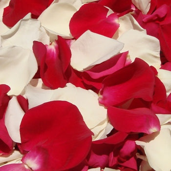 Raspberry cream fresh Rose Petal flatlay
