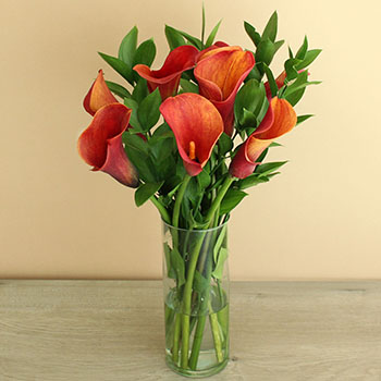 Mango Mini Callas Centerpieces