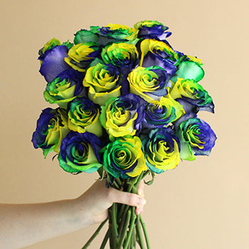 King of Carnival Mardi Gras Roses