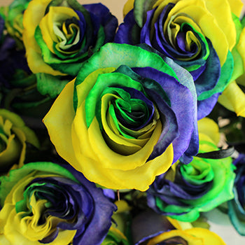 King of Carnival Mardi Gras Roses