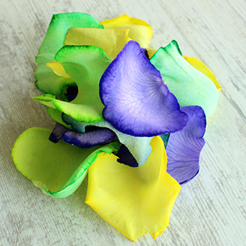 King of Carnival Mardi Gras Roses