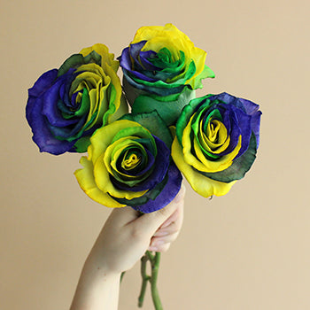 King of Carnival Mardi Gras Roses