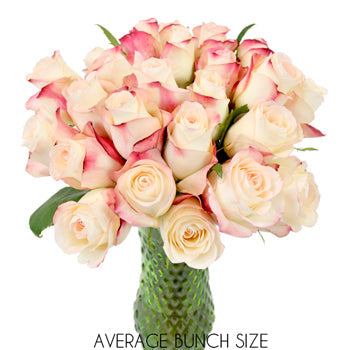 Peach Cobbler Sweetheart Roses