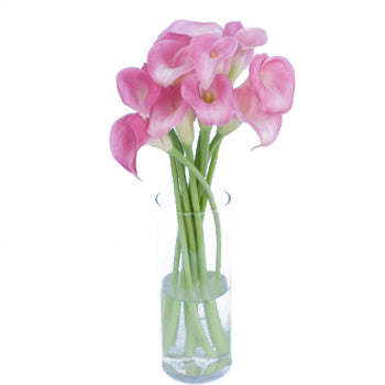 Pink Calla Lily Flower