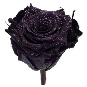 Preserved Metalized Deep Purple Rose