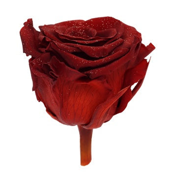 Preserved Metalized Deep Red Rose