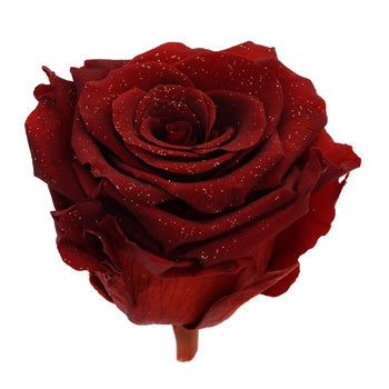Preserved Metalized Deep Red Rose