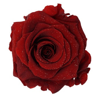 Preserved Metalized Deep Red Rose