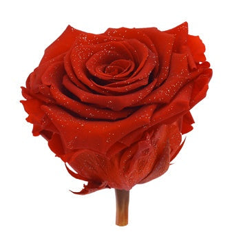 Preserved Metalized Frank Red Rose