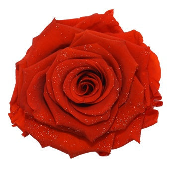 Preserved Metalized Frank Red Rose