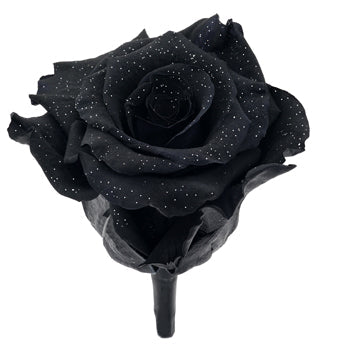 Preserved Metalized Night Black Rose
